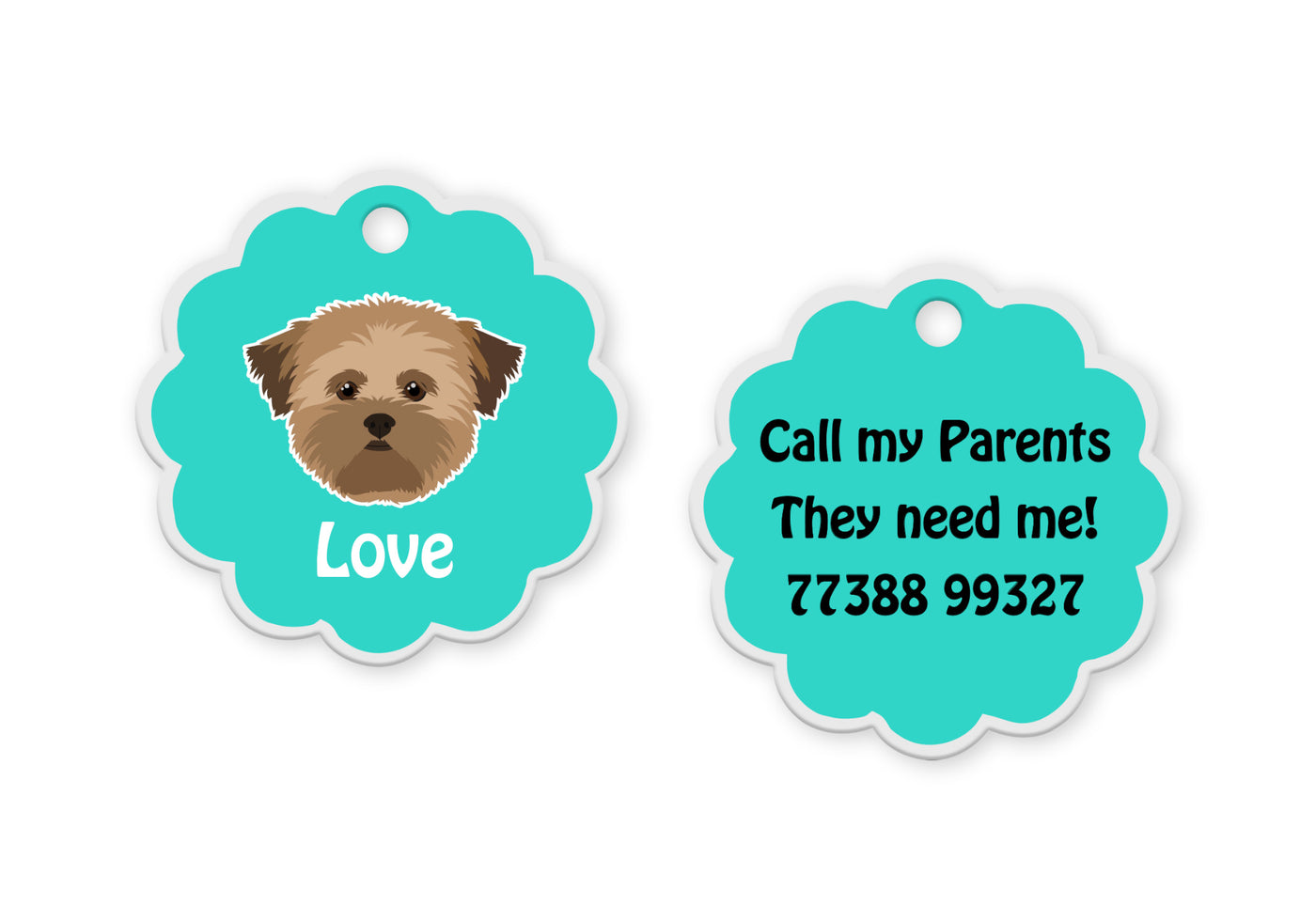 Lhasa Apso Brown [F]