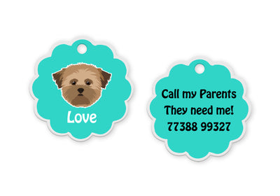 Lhasa Apso Brown [F]