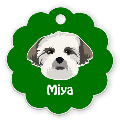 Lhasa Apso [F]