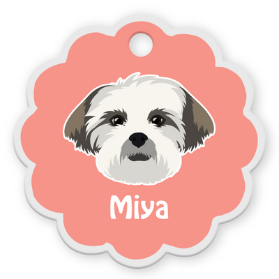 Lhasa Apso [F]