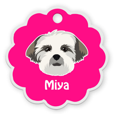 Lhasa Apso [F]