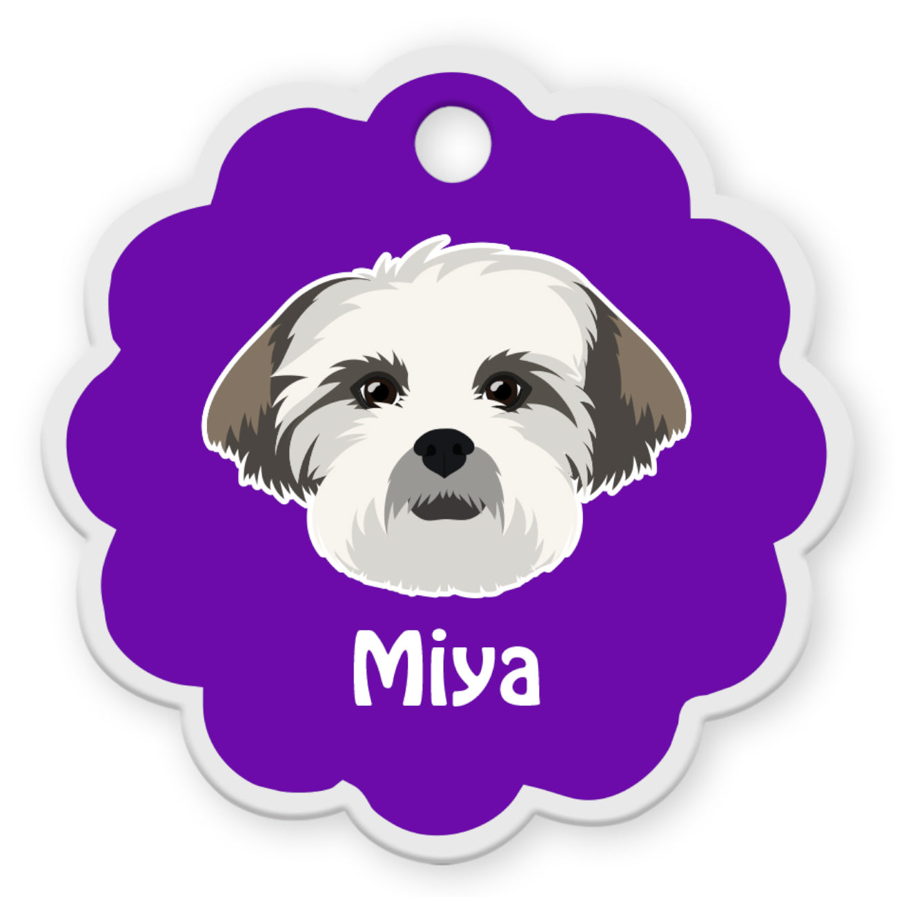 Lhasa Apso [F]