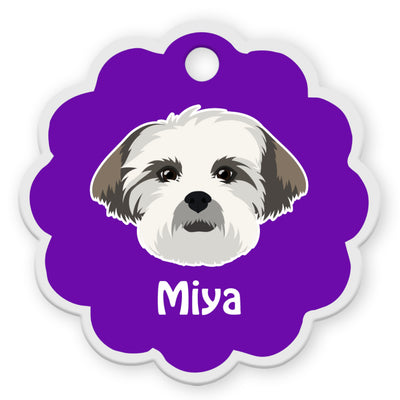 Lhasa Apso [F]
