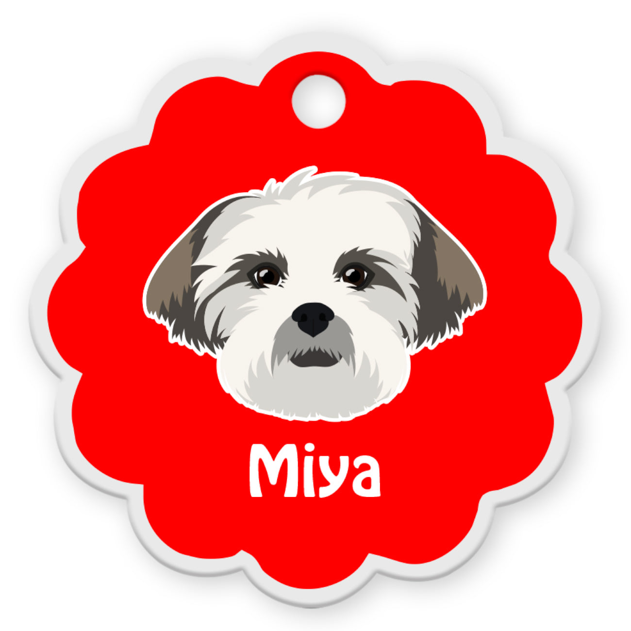 Lhasa Apso [F]