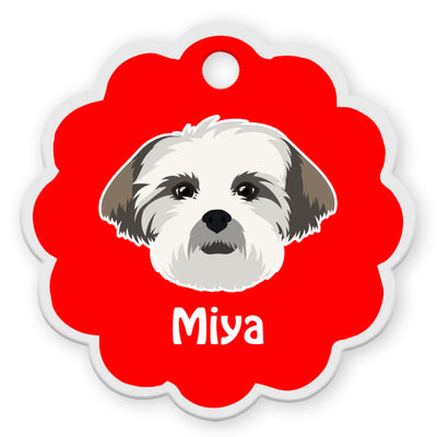 Lhasa Apso [F]