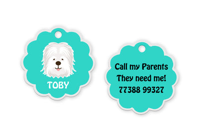 Old English Sheepdog [F]