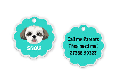 Shih Tzu [F]