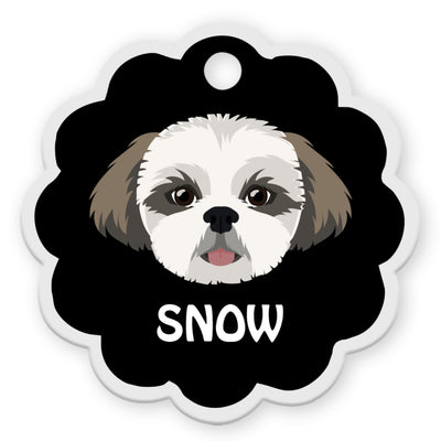 Shih Tzu [F]