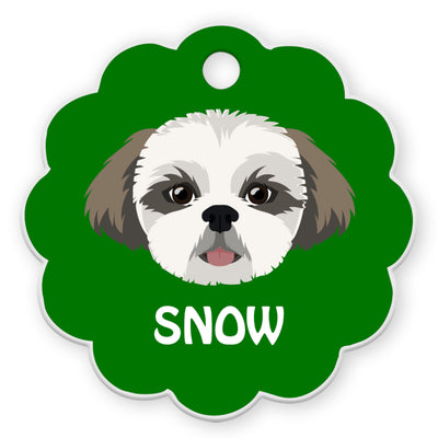 Shih Tzu [F]