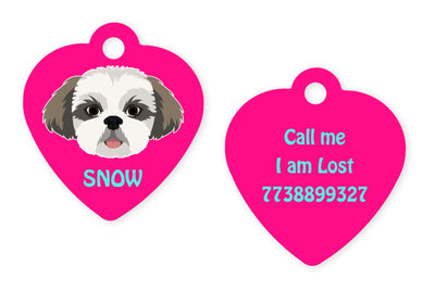 Shih Tzu