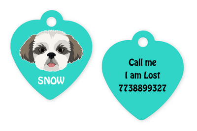 Shih Tzu