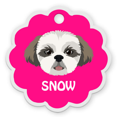 Shih Tzu [F]