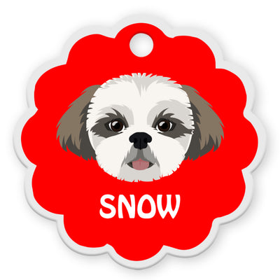 Shih Tzu [F]