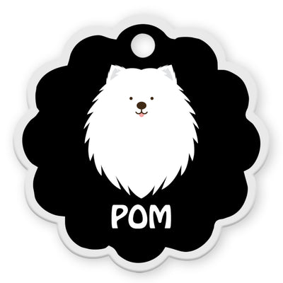Spitz [F]