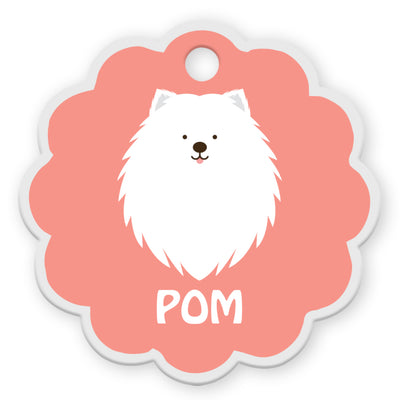 Spitz [F]